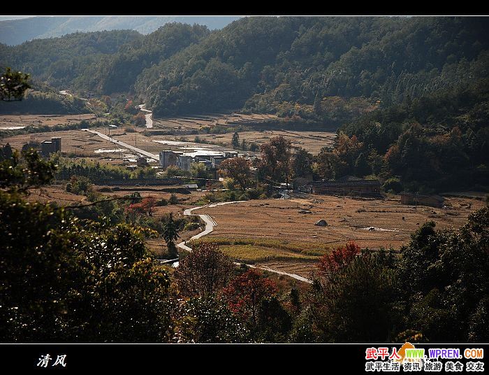 梁野山人口_武平梁野山