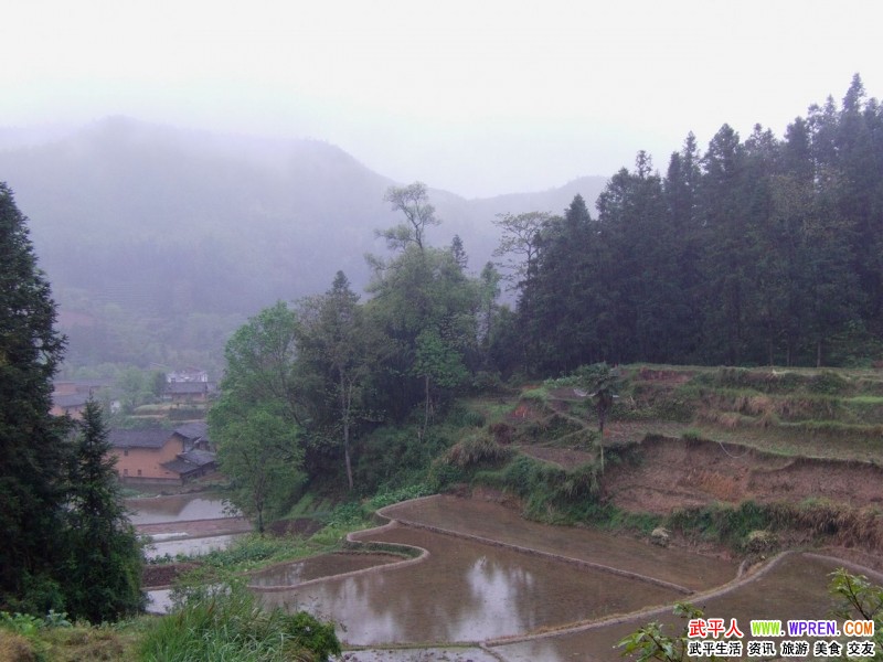 永平多少人口_永平黄焖鸡图片(3)