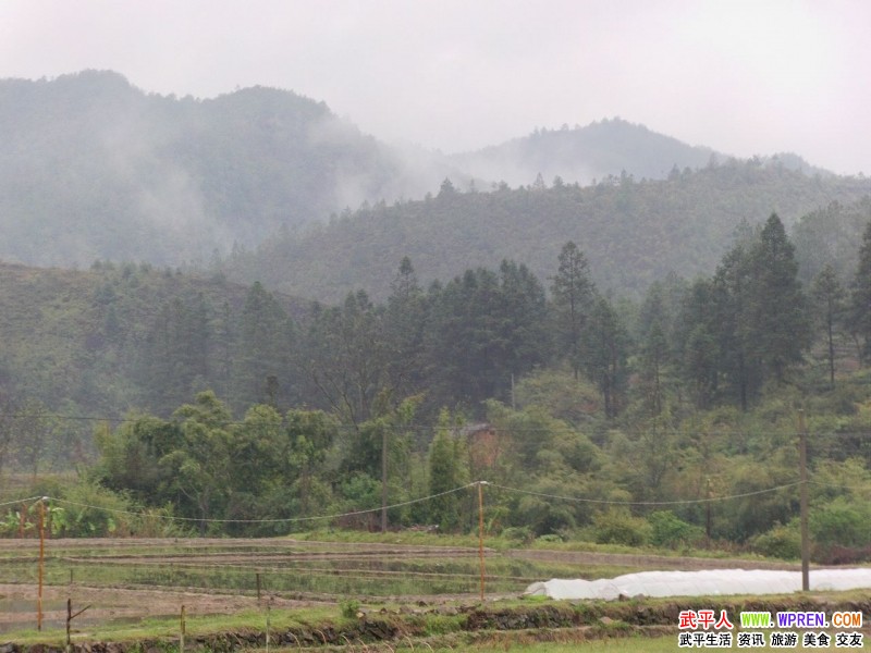 永平多少人口_永平黄焖鸡图片(3)