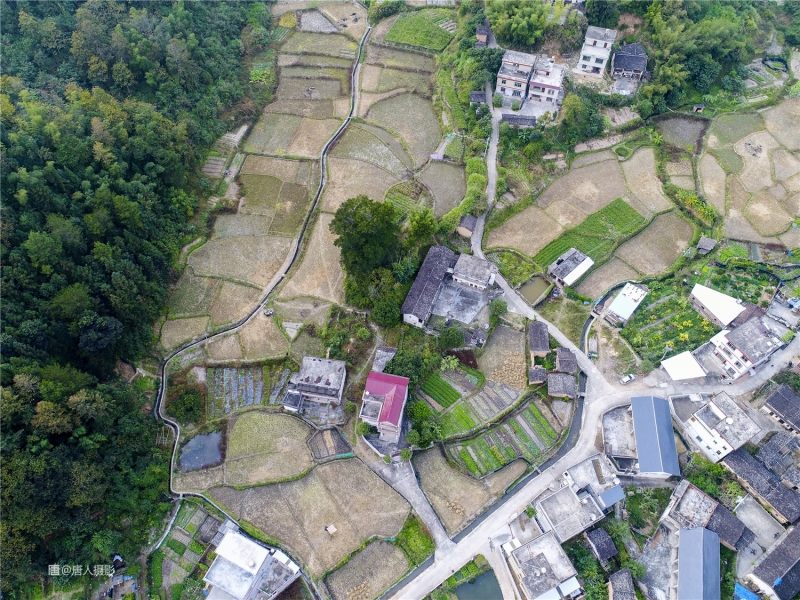 武平各乡镇人口_武平梁野山(2)